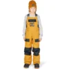 DC Roadblock Youth Snowboard Bibs